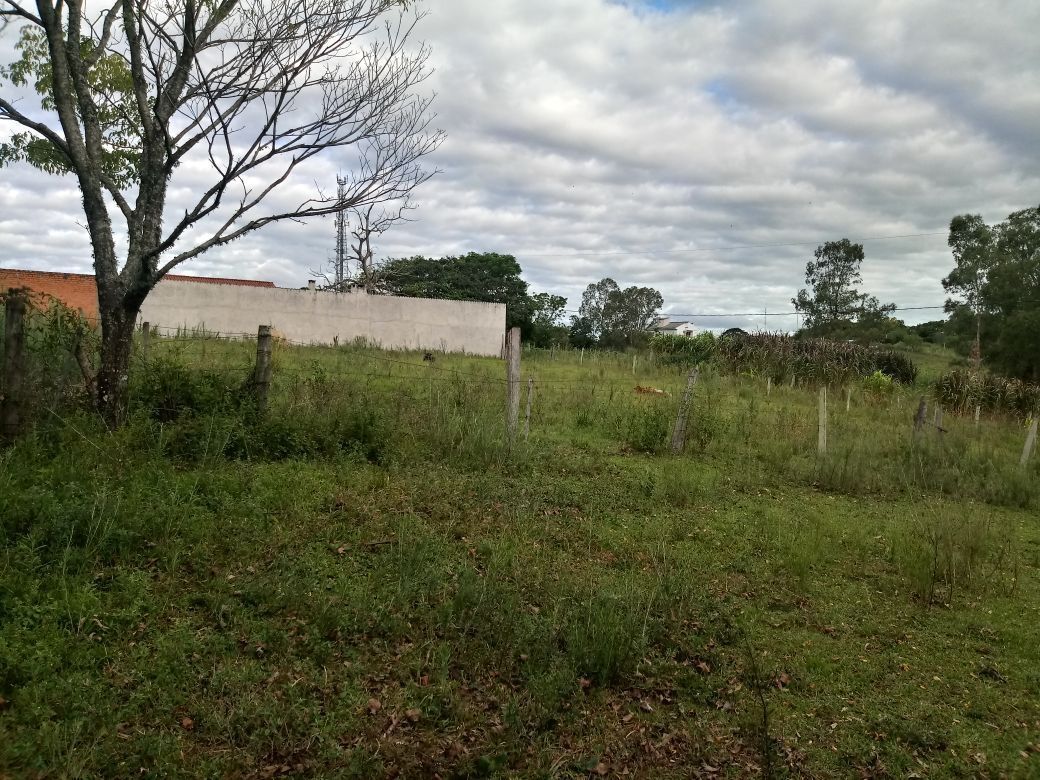 Terreno, 5000 m² - Foto 6