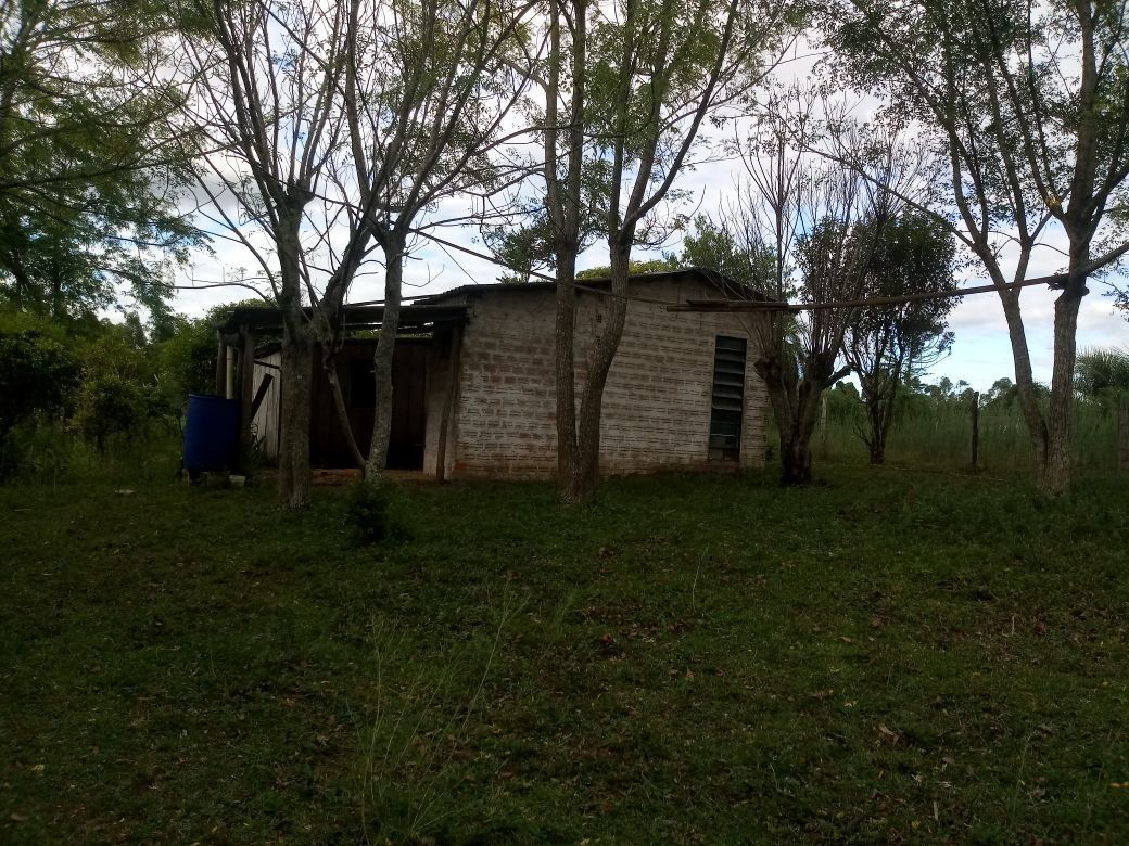 Terreno, 5000 m² - Foto 3