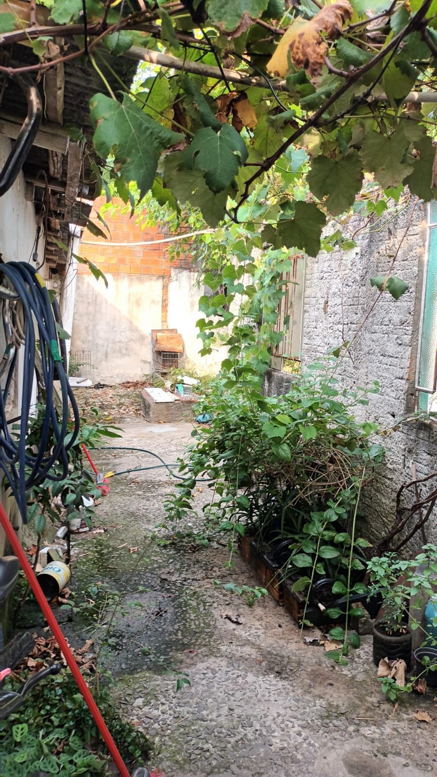 Terreno, 400 m² - Foto 6