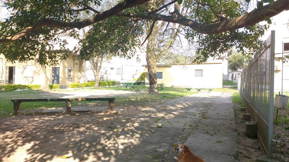 Apartamento, 3 quartos, 70 m² - Foto 11