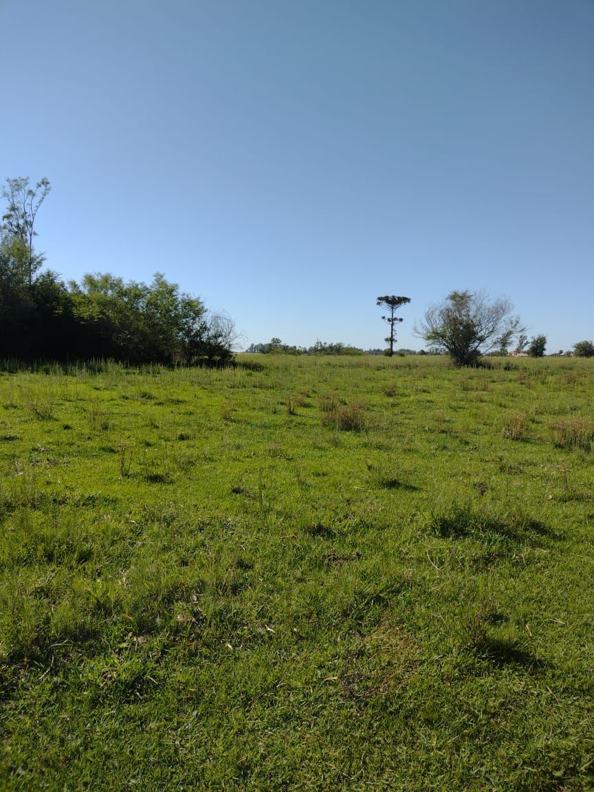 Chácara, 2 hectares - Foto 1