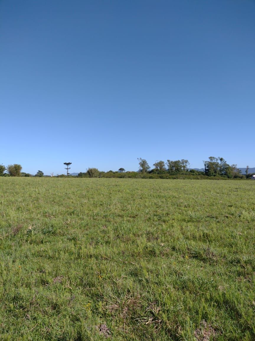 Chácara, 2 hectares - Foto 3