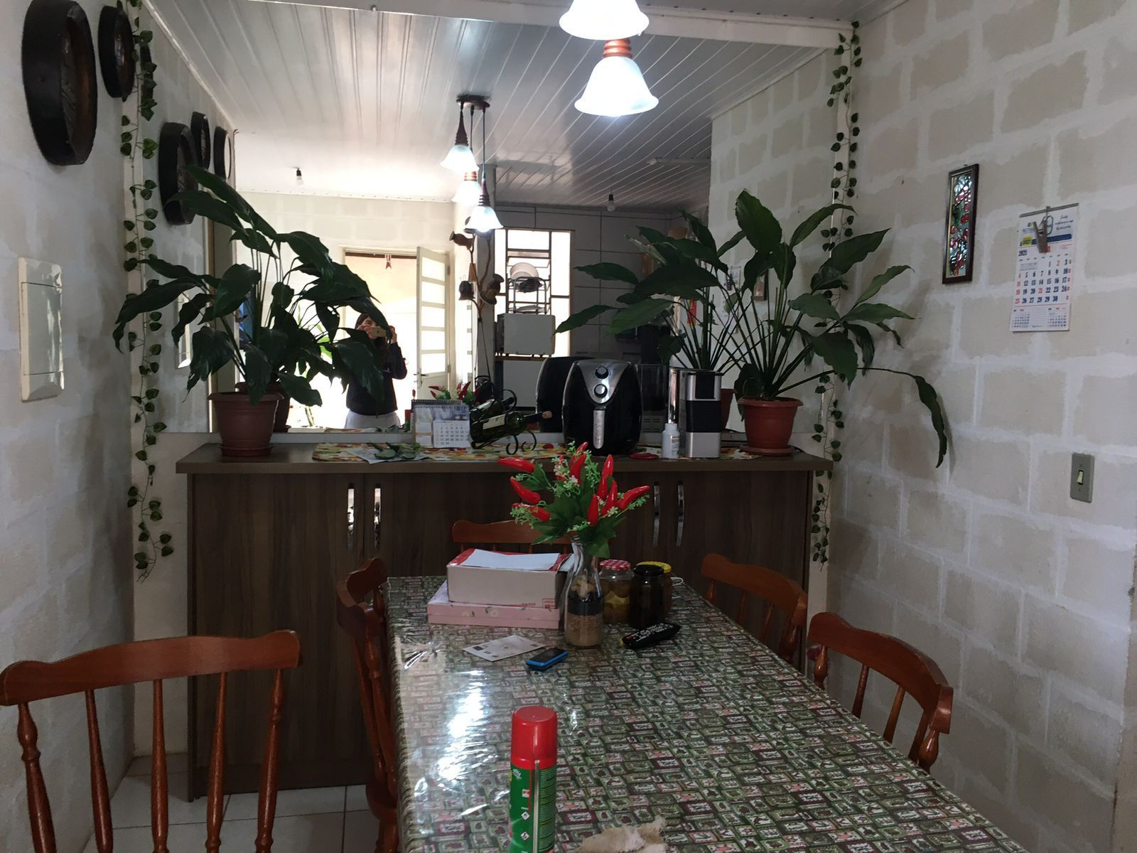 Casa, 2 quartos, 60 m² - Foto 5