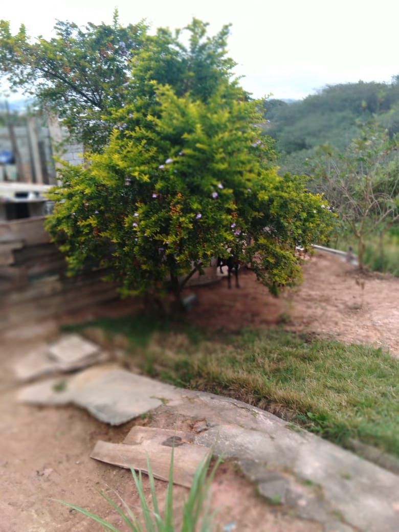 Terreno, 1000 m² - Foto 8