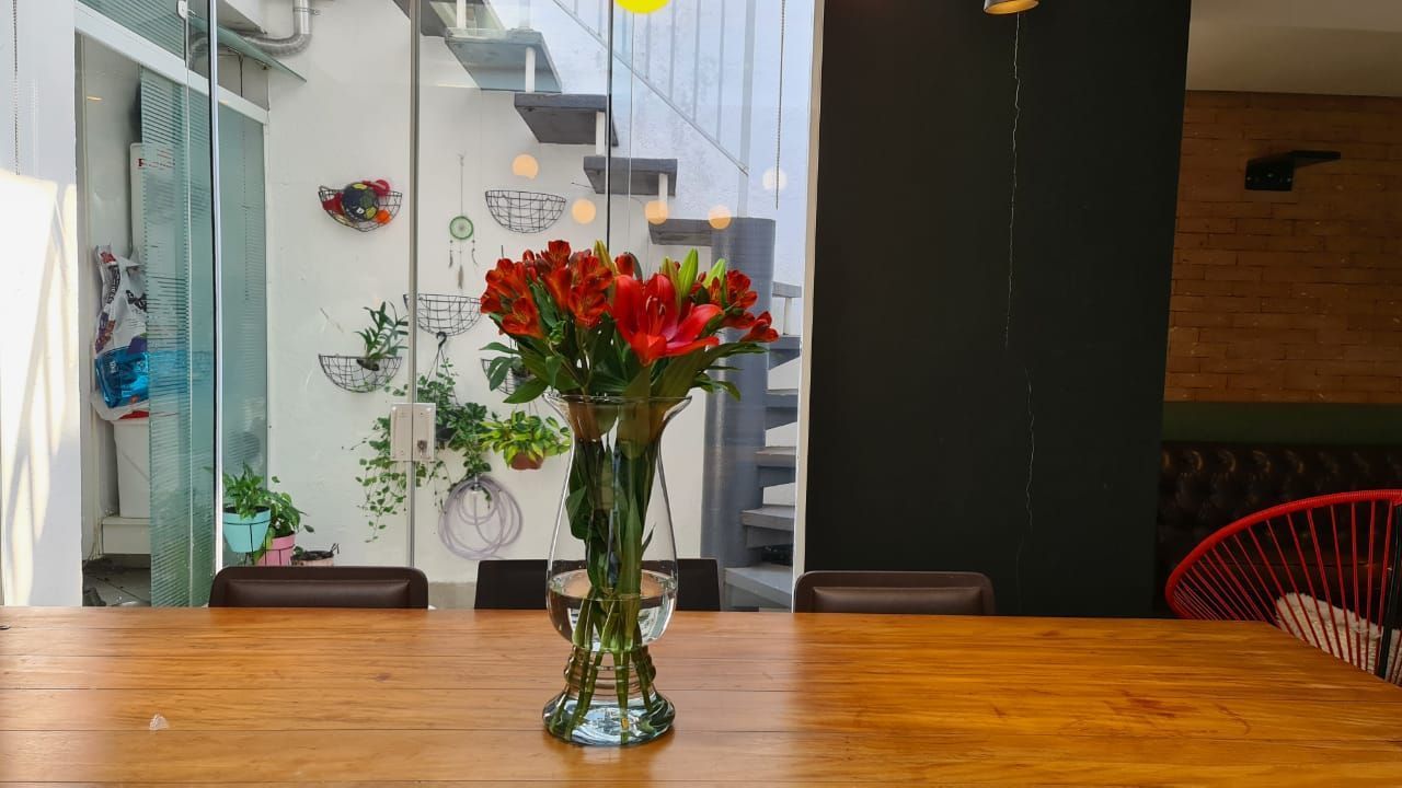 Casa, 2 quartos, 200 m² - Foto 29