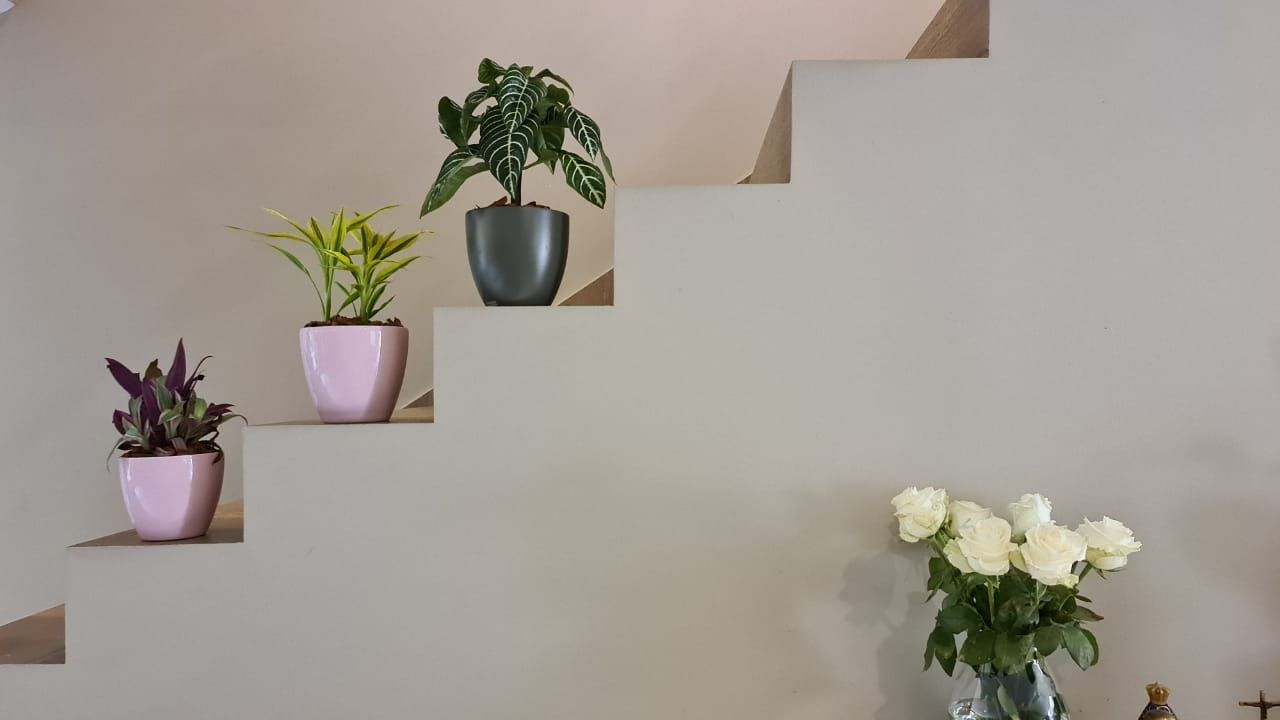 Casa, 2 quartos, 200 m² - Foto 27