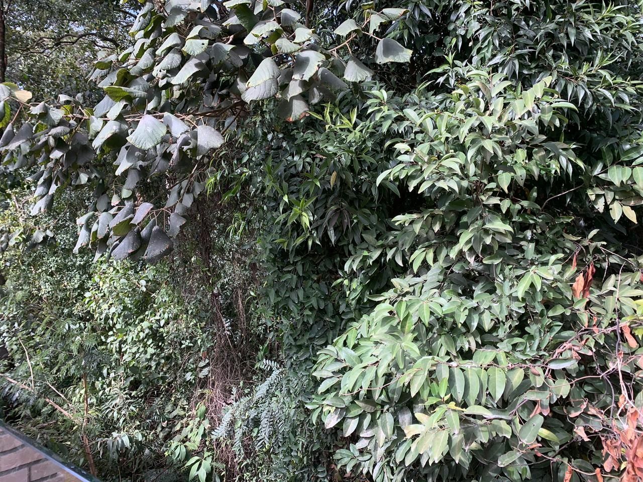 Sobrado, 3 quartos, 220 m² - Foto 25