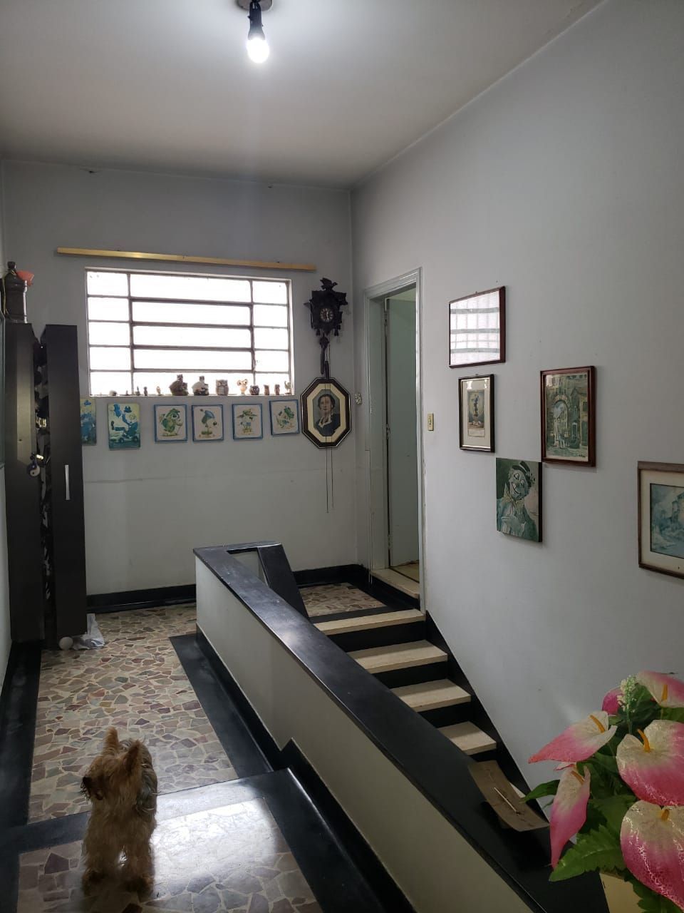 Sobrado à venda e aluguel com 3 quartos, 300m² - Foto 23