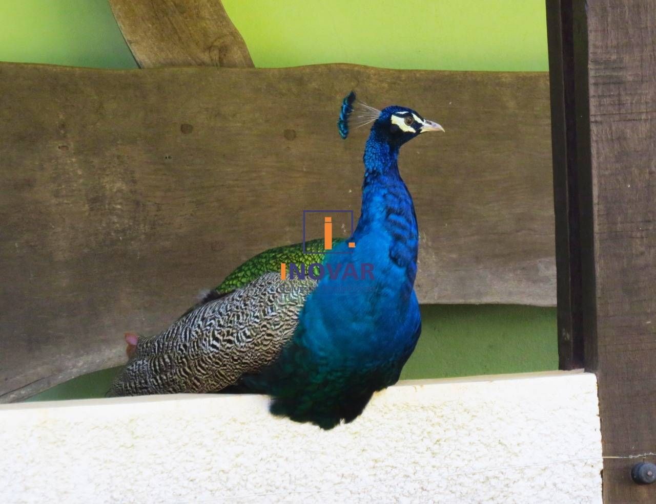 Terreno, 1000 m² - Foto 23