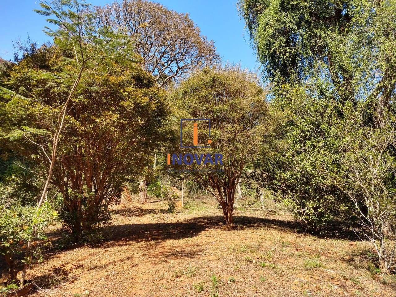 Terreno, 2 hectares - Foto 14