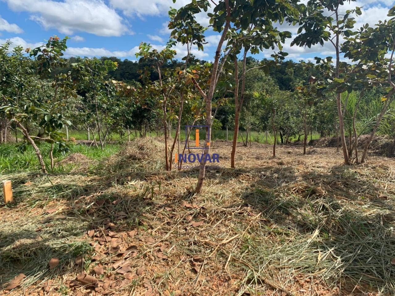 Terreno à venda, 1000m² - Foto 4