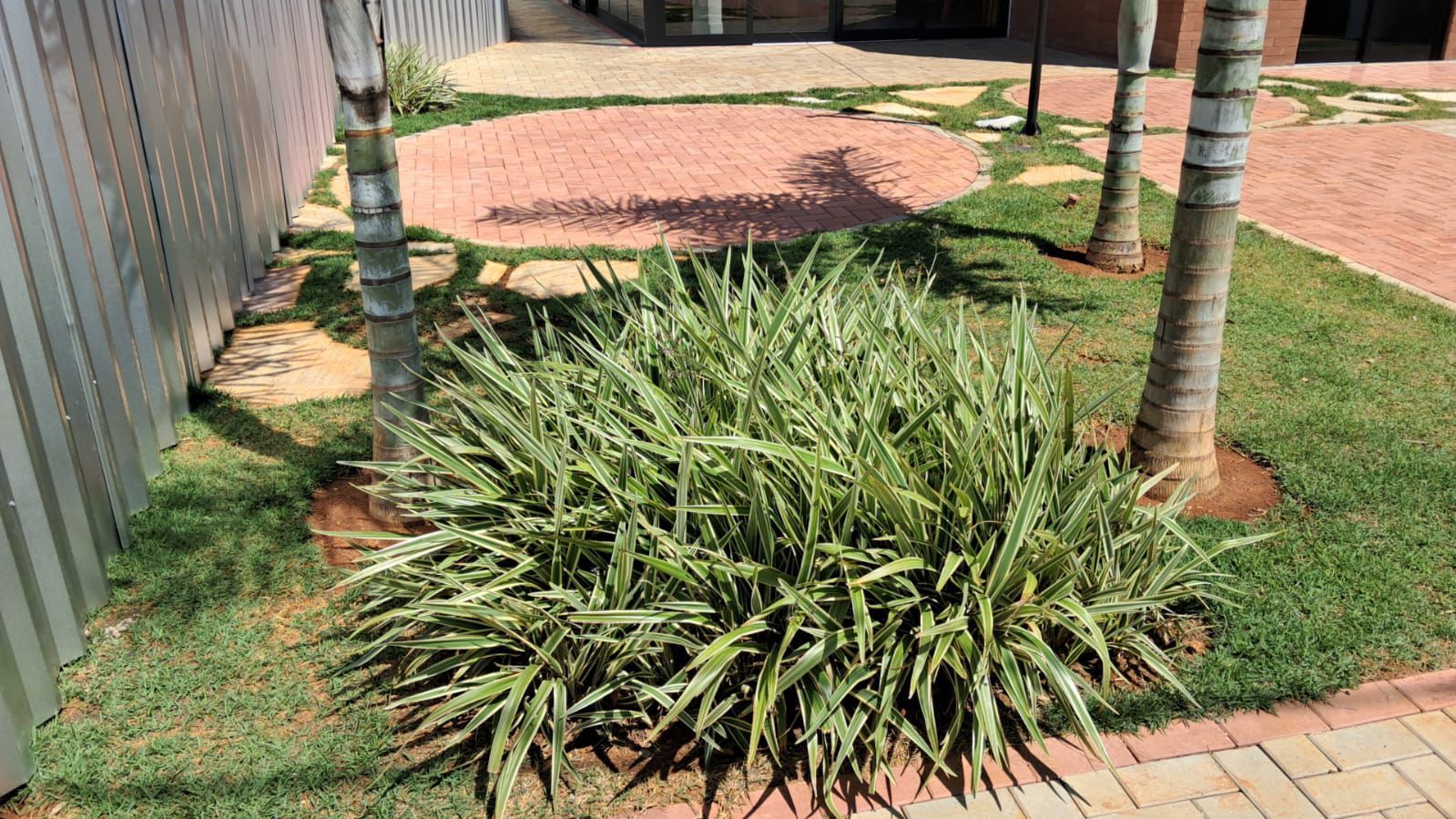 Terreno, 275 m² - Foto 3