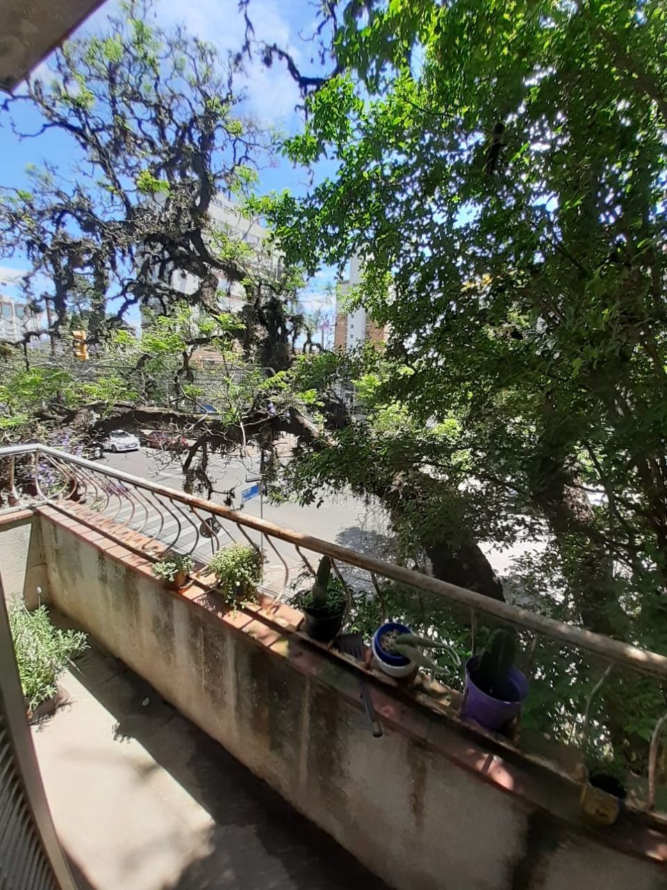 Apartamento, 3 quartos, 99 m² - Foto 11