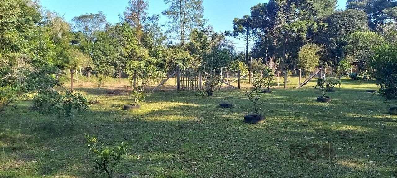 Sítio à venda com 3 quartos, 6735m² - Foto 5