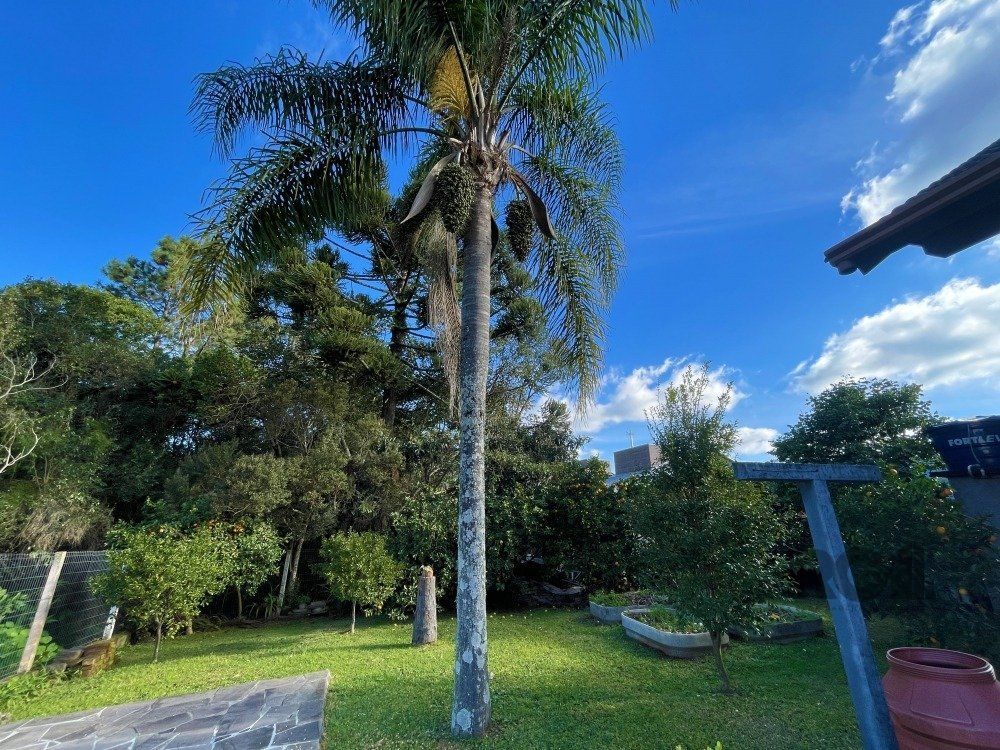 Casa à venda com 3 quartos, 200m² - Foto 26