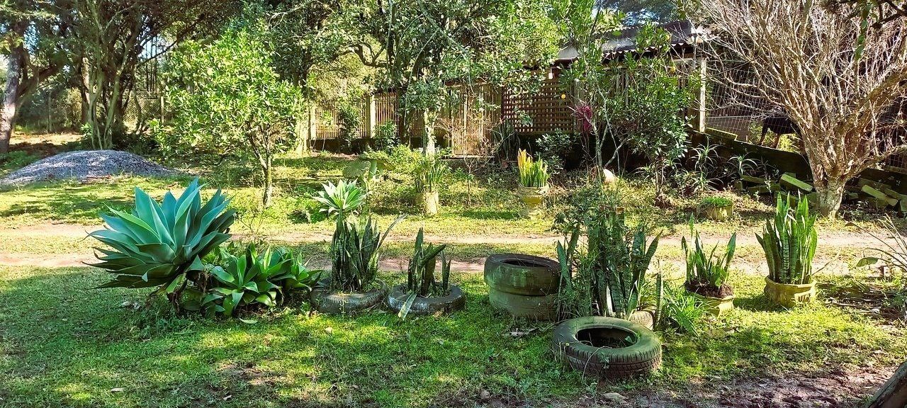 Sítio à venda com 3 quartos, 6735m² - Foto 12