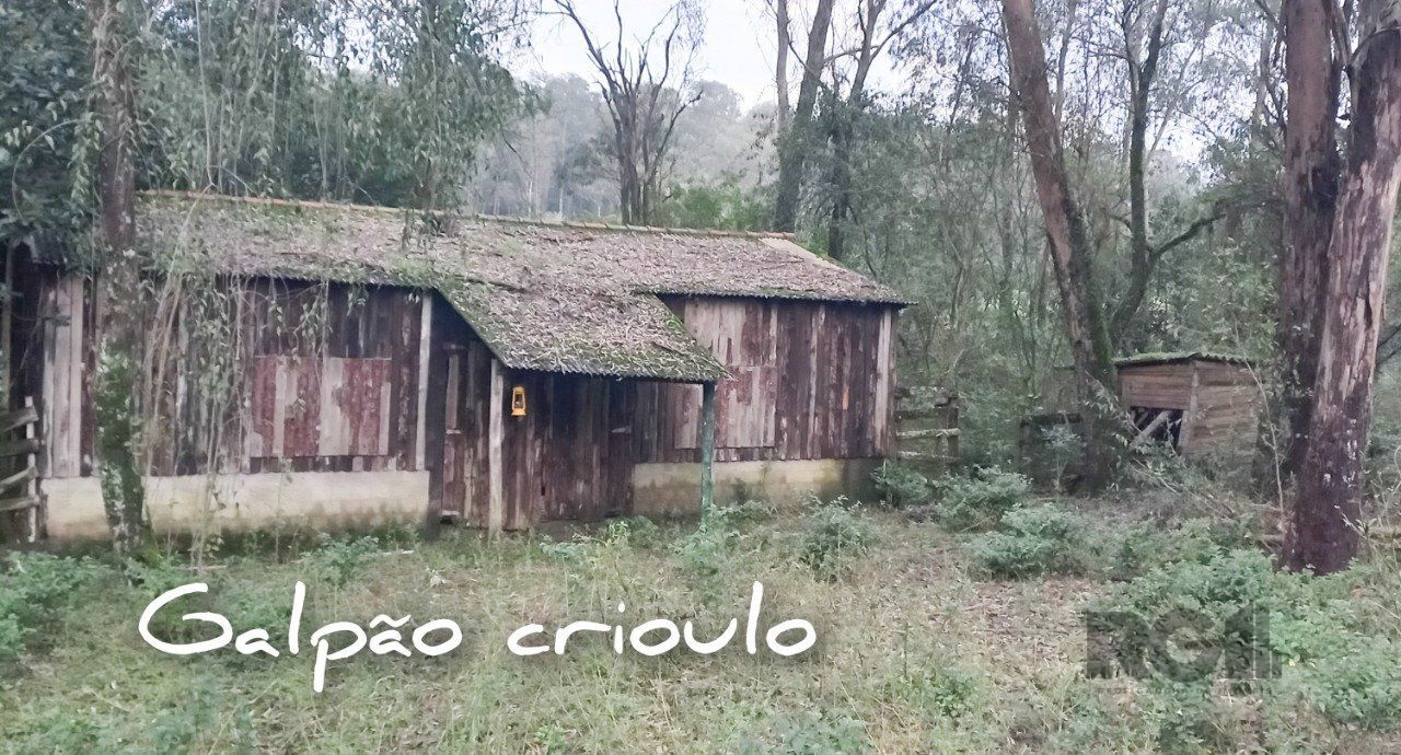 Sítio à venda com 3 quartos, 6735m² - Foto 10