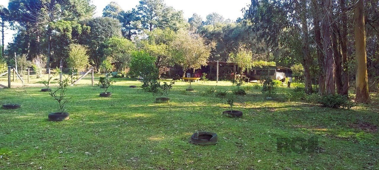 Sítio à venda com 3 quartos, 6735m² - Foto 11
