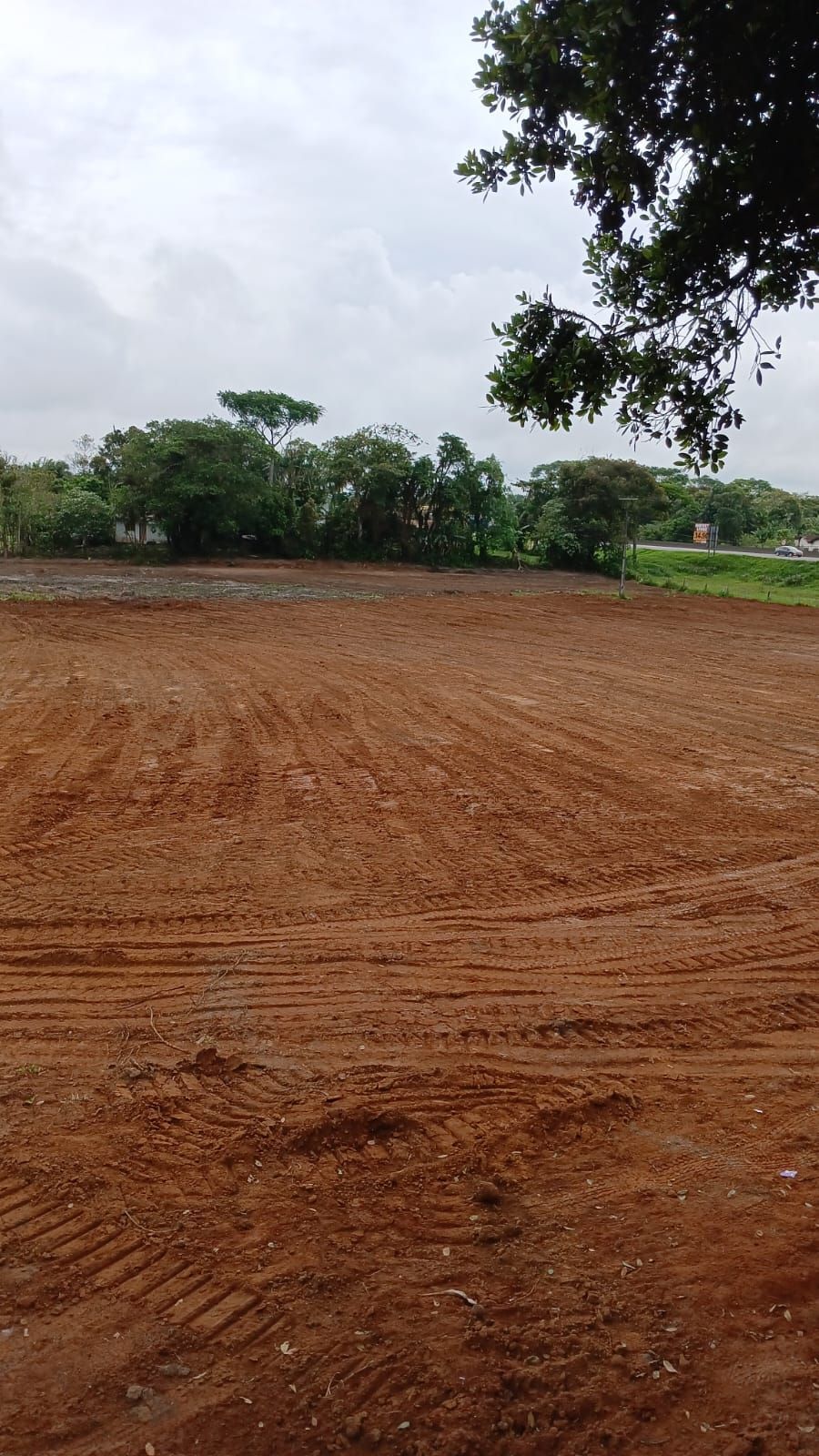 Terreno, à venda, Barra do Itapocú - Araquari — foto 4