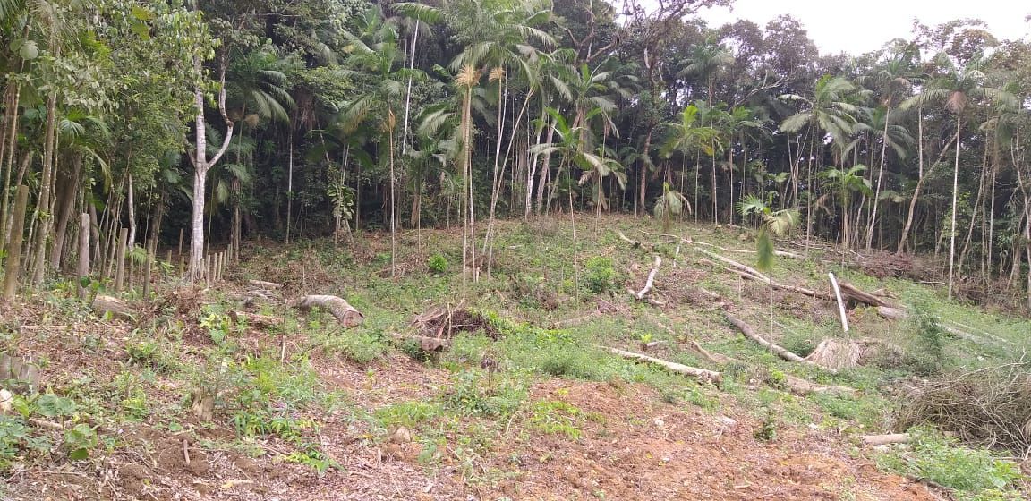 Terreno/Lote à venda  no Barra Velha - Barra Velha, SC. Imóveis