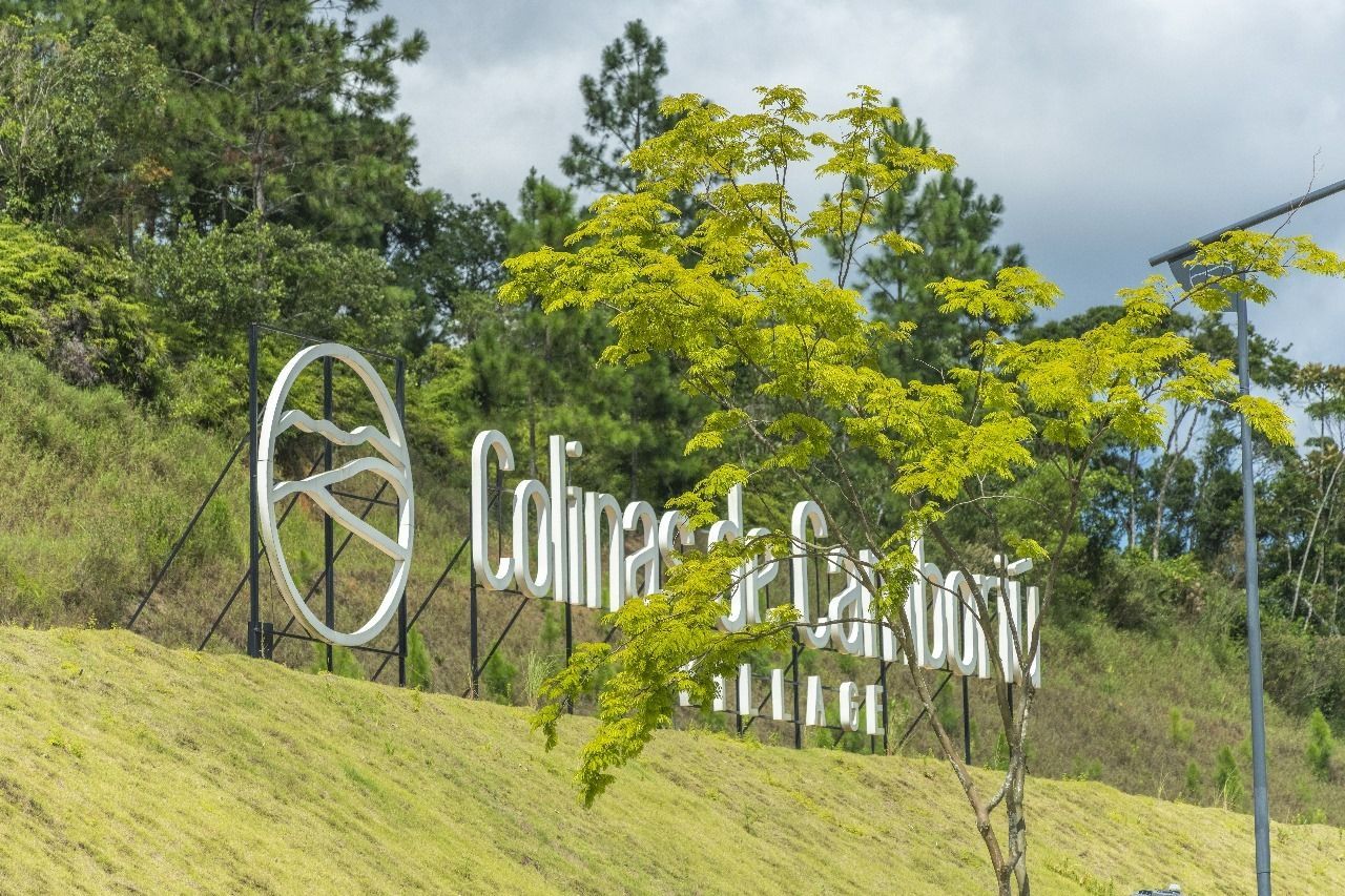 Terreno/Lote  venda  no Monte Alegre - Cambori, SC. Imveis