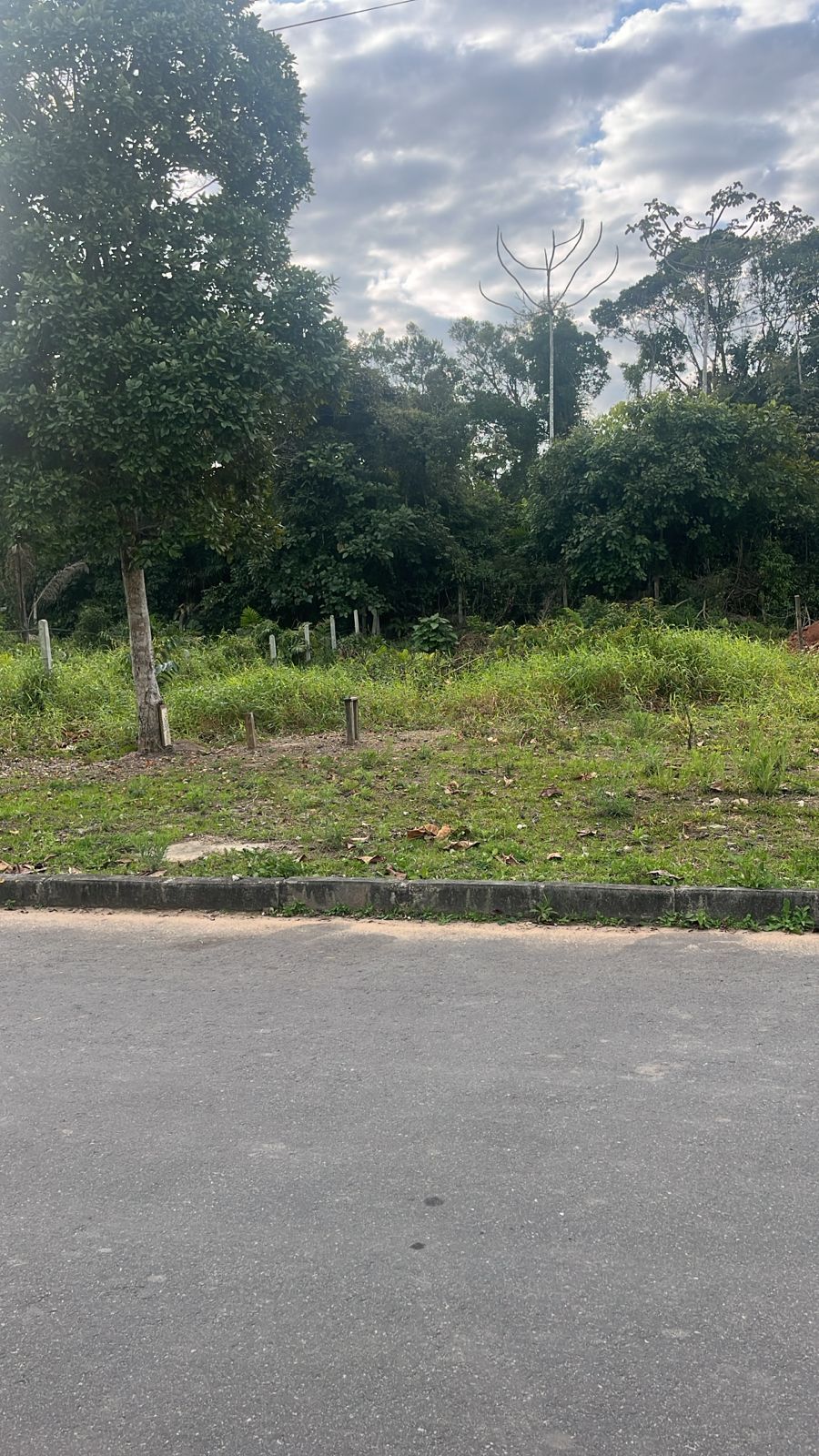 Terreno à venda no Itajuba, Barra Velha - SC