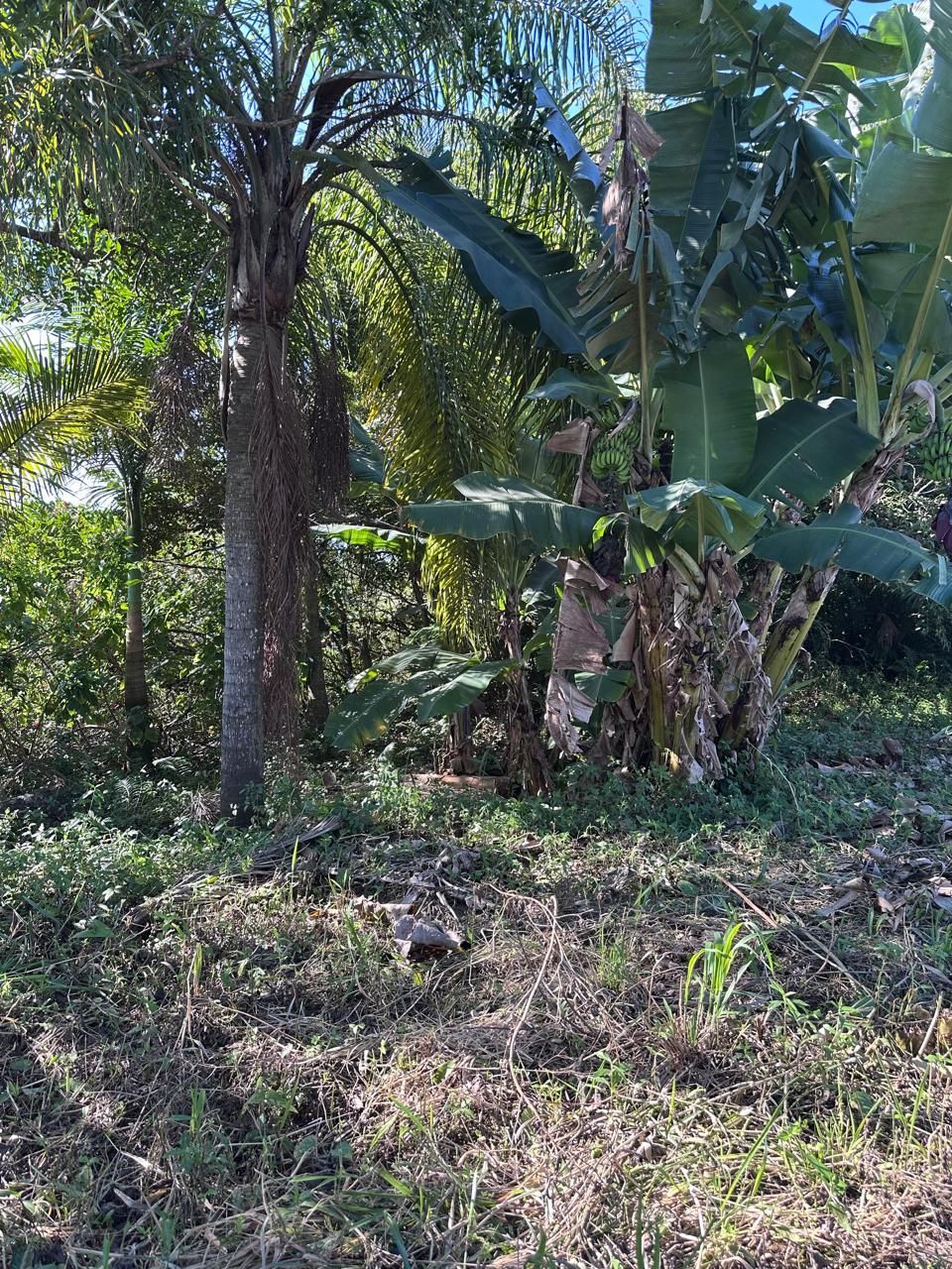 Terreno, à venda, Itajuba - Barra Velha — foto 4