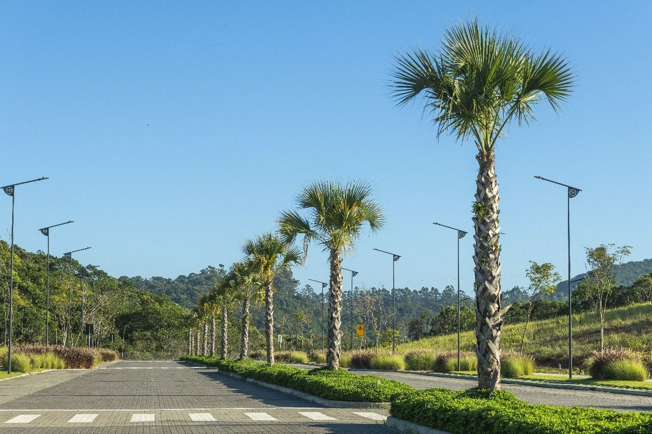 1718904214