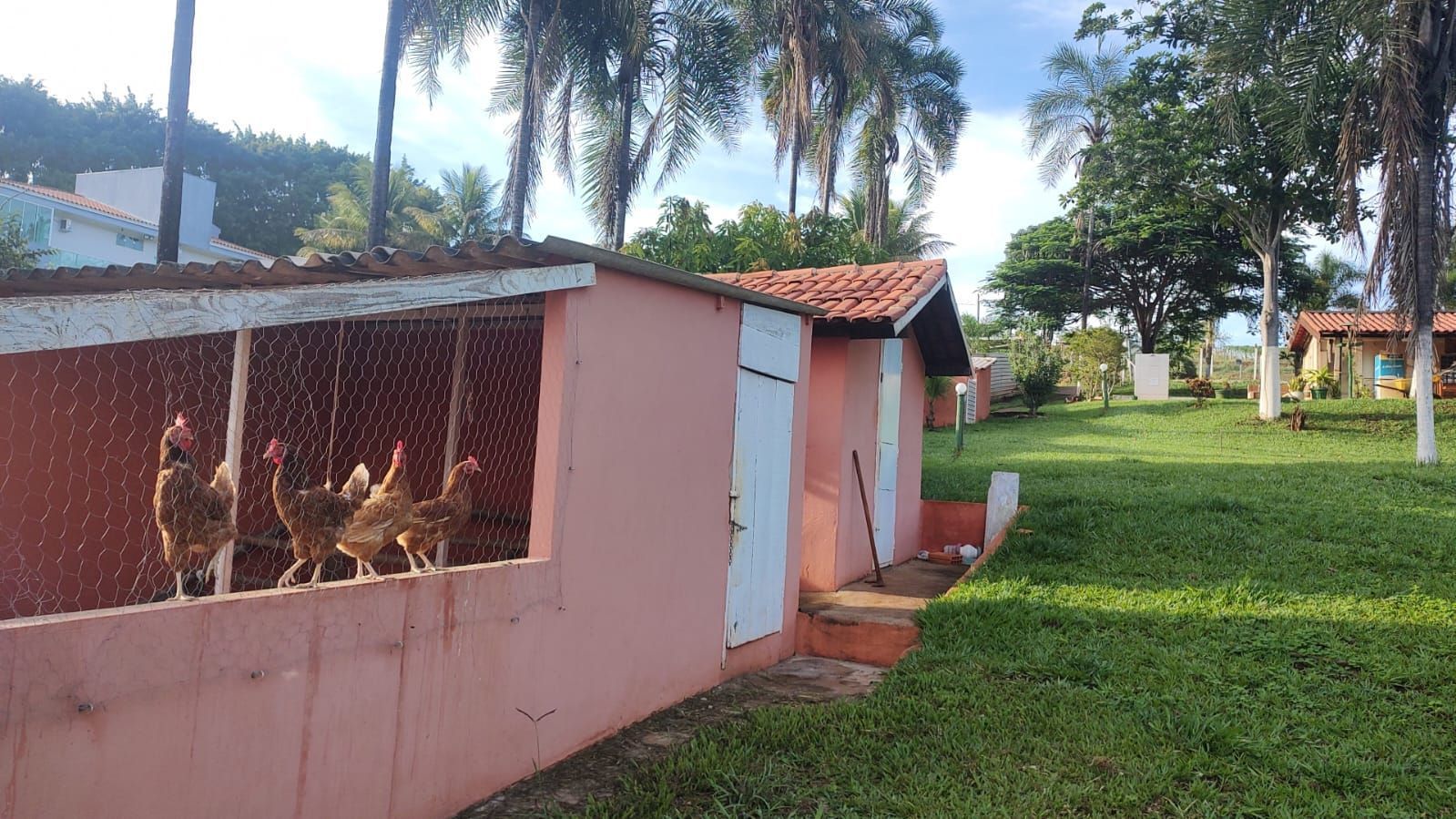 Chácara à venda com 5 quartos, 7000m² - Foto 11
