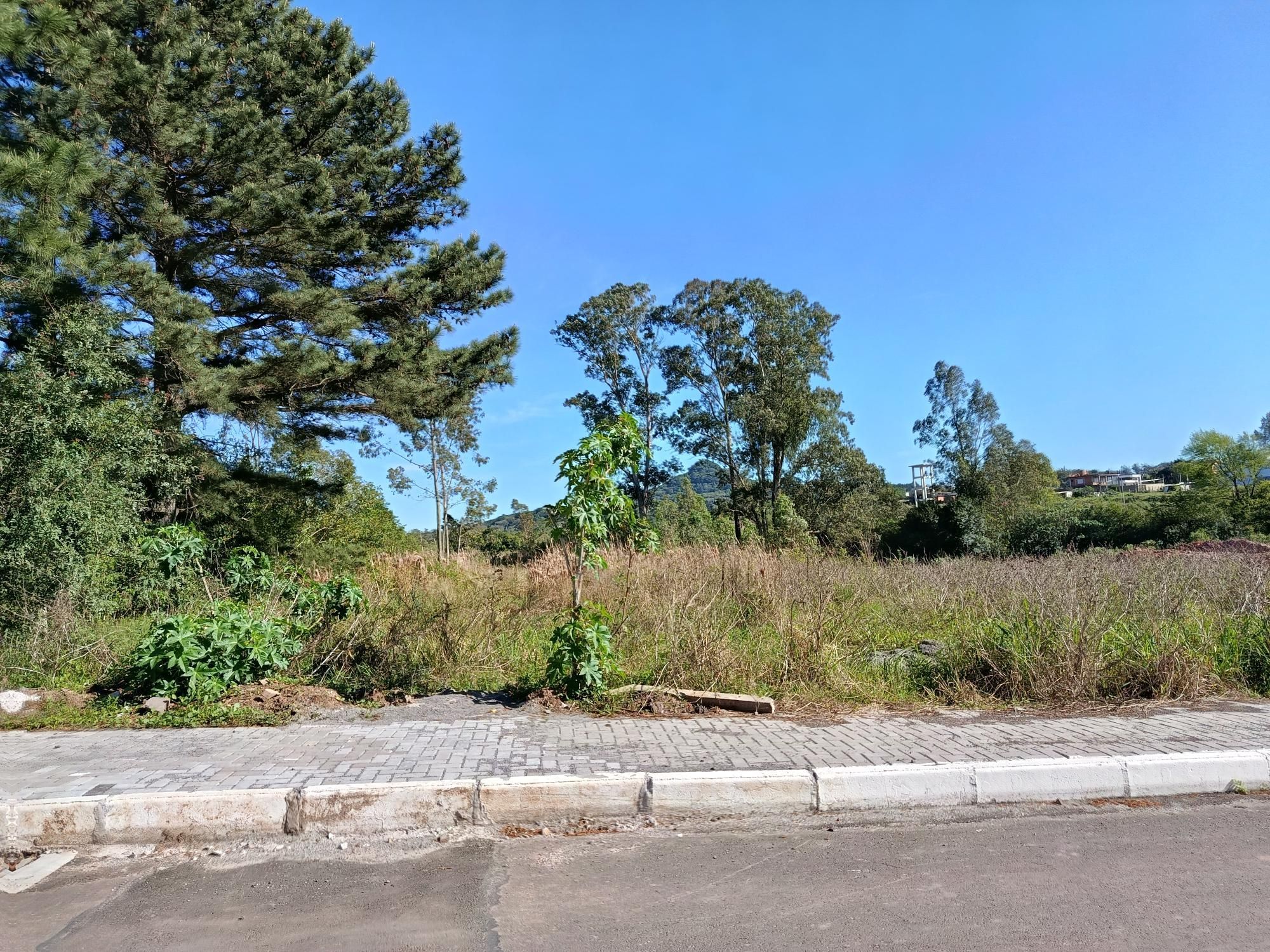 Terreno, 2275 m² - Foto 1