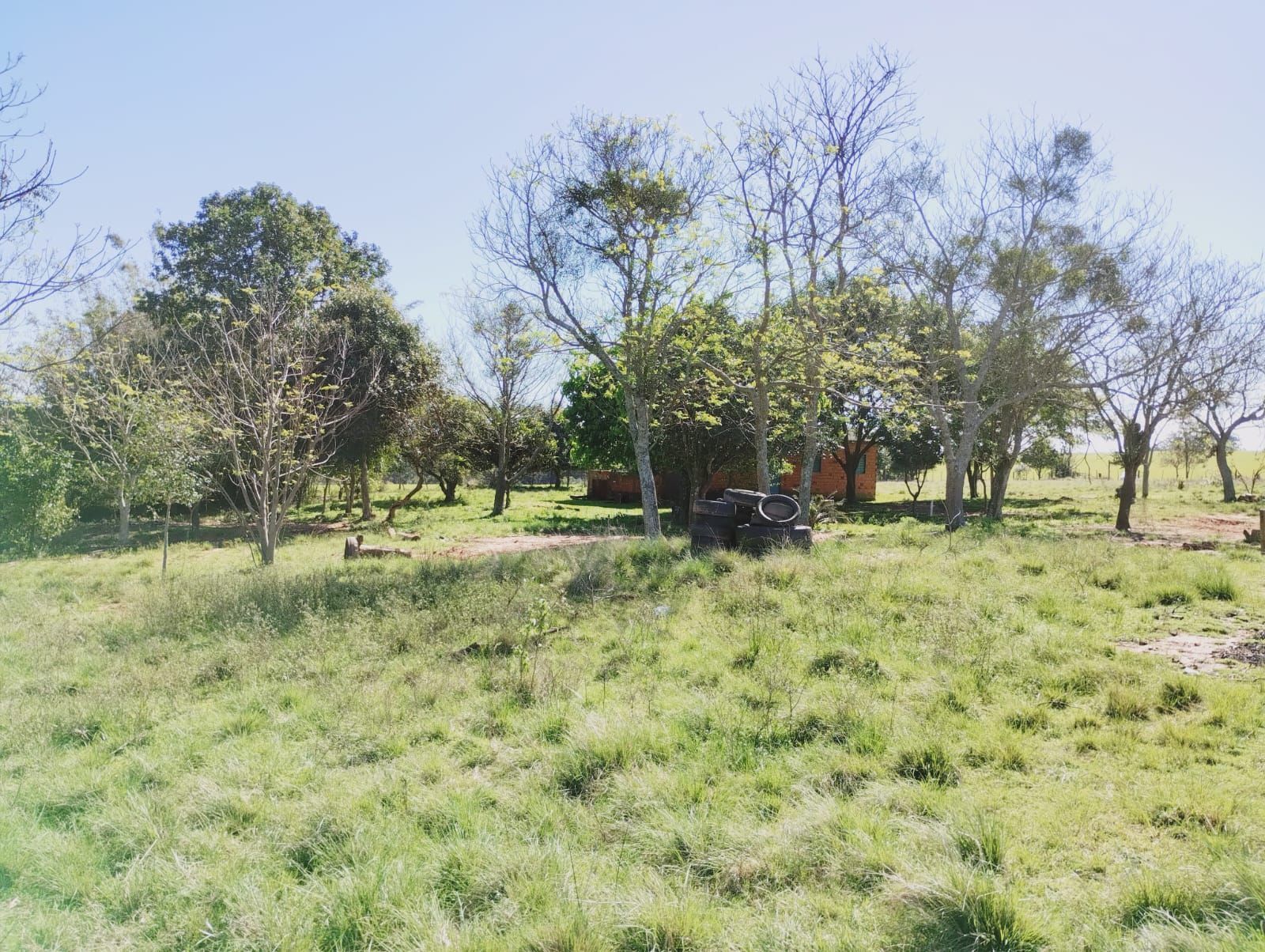 Chácara à venda com 3 quartos, 91m² - Foto 7