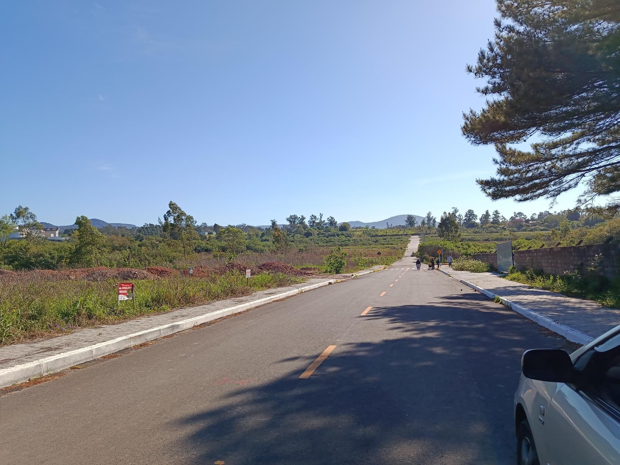 Terreno, 2275 m² - Foto 3