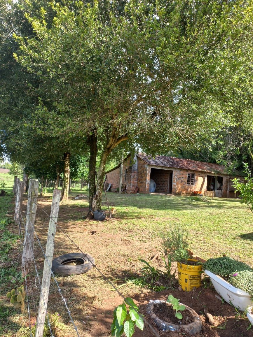 Chácara, 2 quartos, 5 hectares - Foto 15