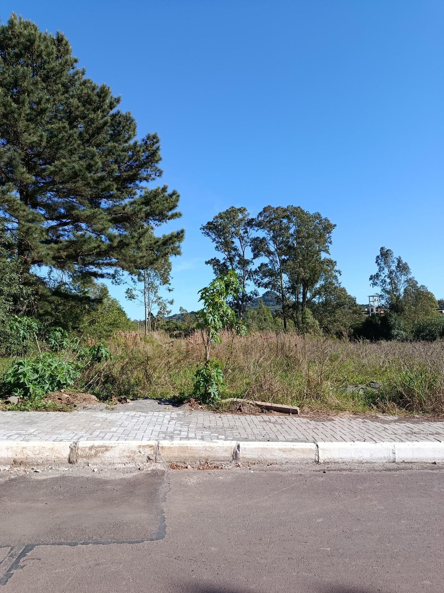 Terreno, 2275 m² - Foto 5