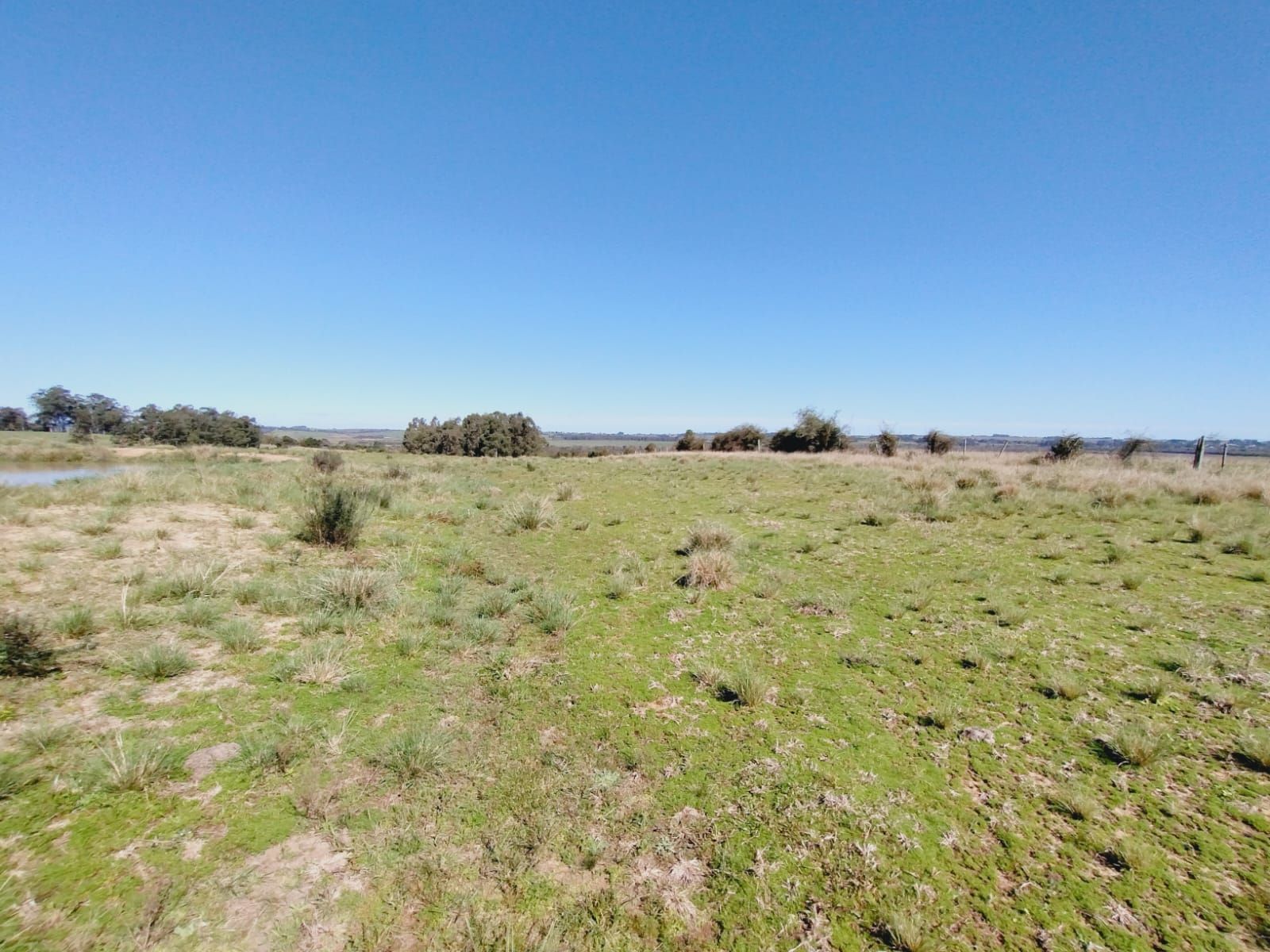 Sítio, 3 quartos, 2 hectares - Foto 27