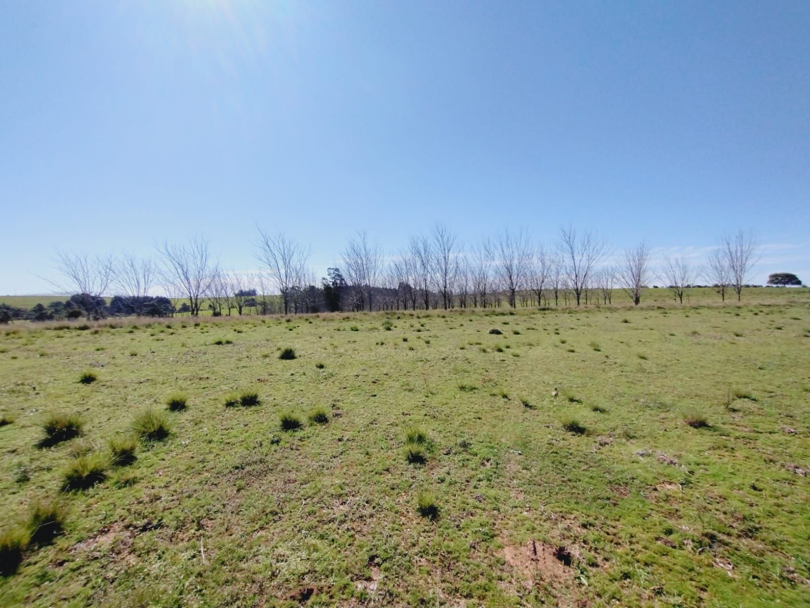 Sítio, 3 quartos, 2 hectares - Foto 26