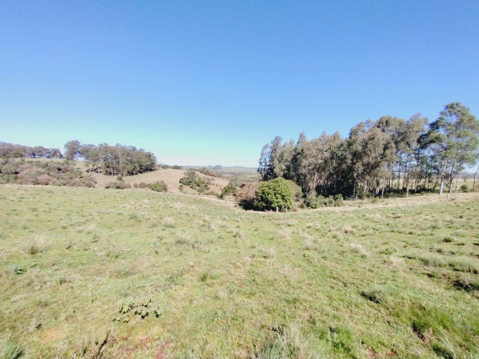 Sítio, 3 quartos, 2 hectares - Foto 19