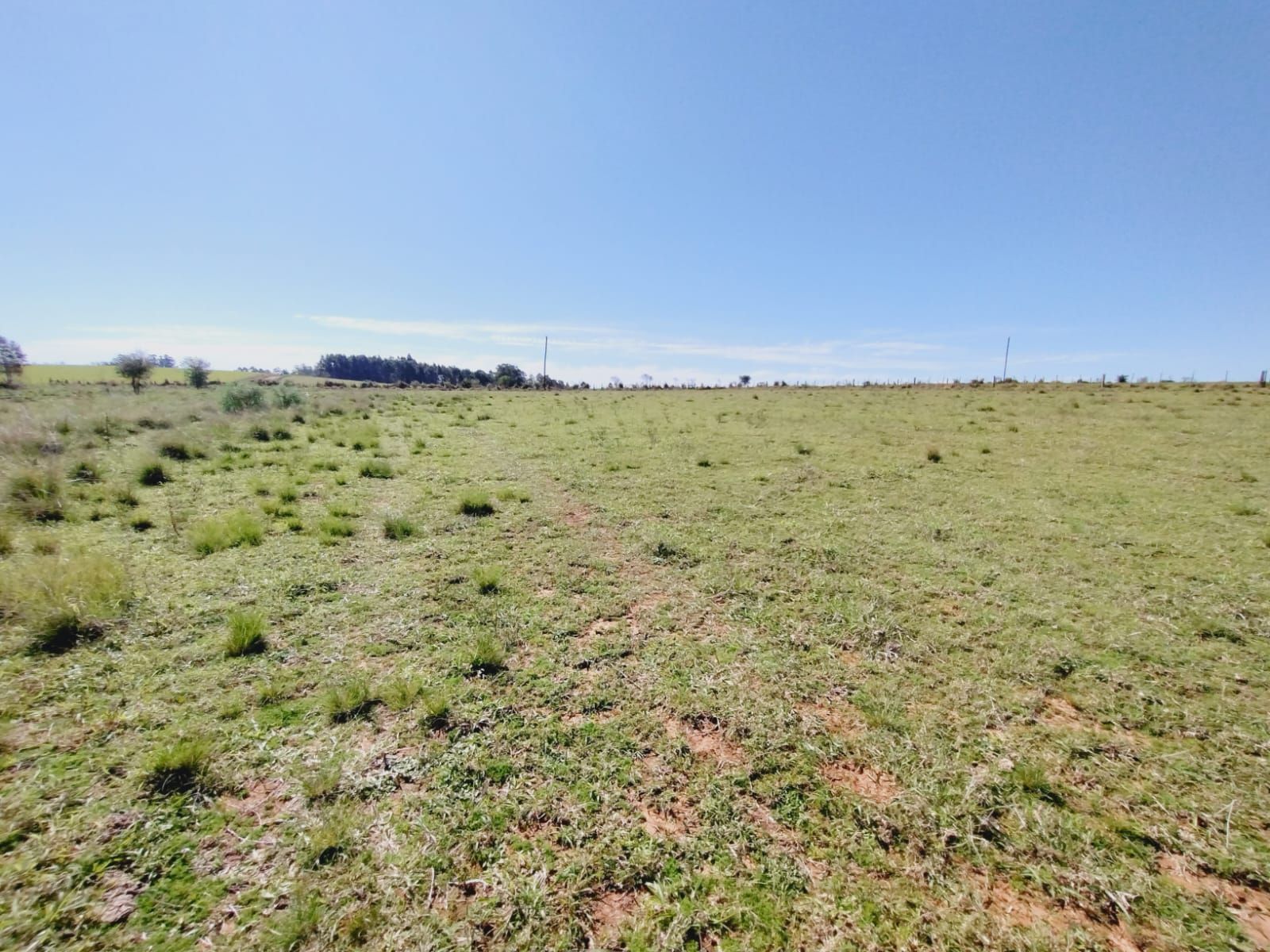 Sítio, 3 quartos, 2 hectares - Foto 20