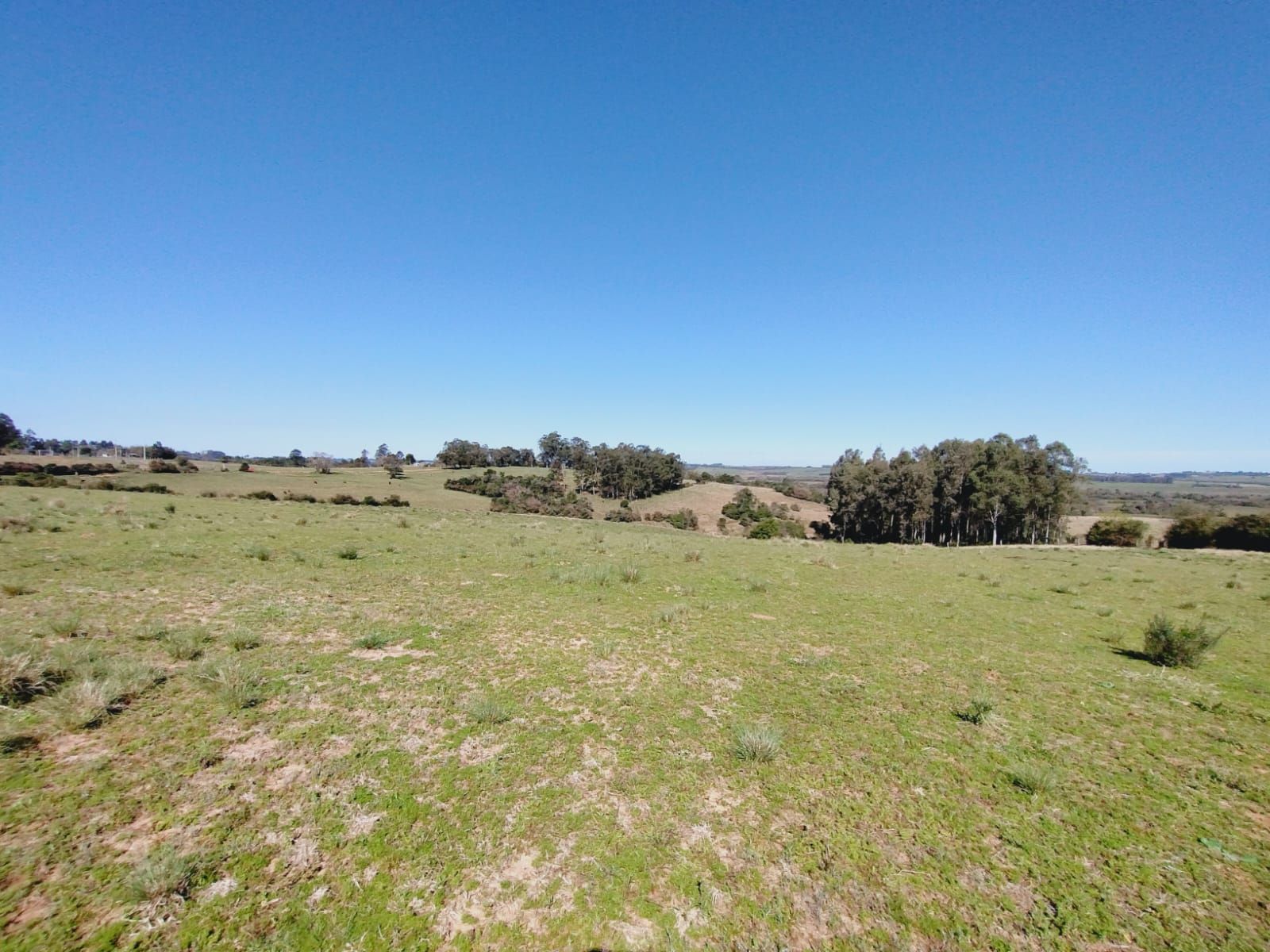 Sítio, 3 quartos, 2 hectares - Foto 18