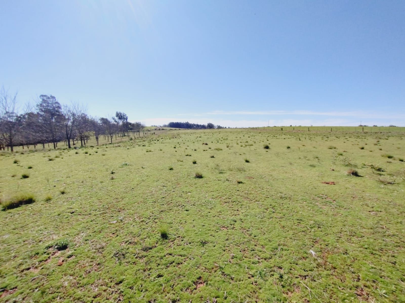 Sítio, 3 quartos, 2 hectares - Foto 22