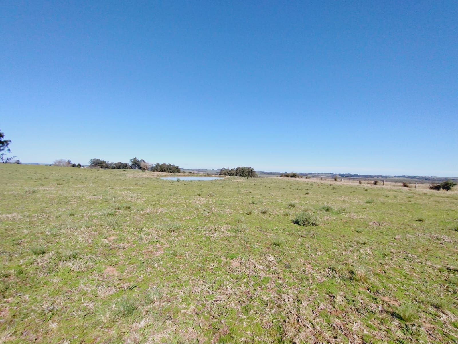 Sítio, 3 quartos, 2 hectares - Foto 21