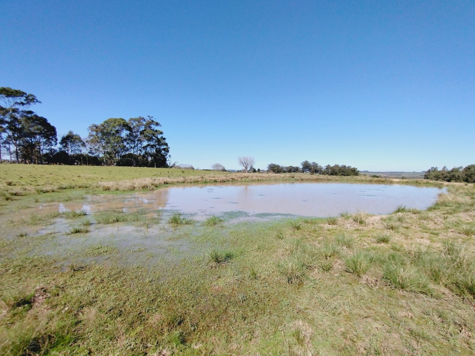 Sítio, 3 quartos, 2 hectares - Foto 10