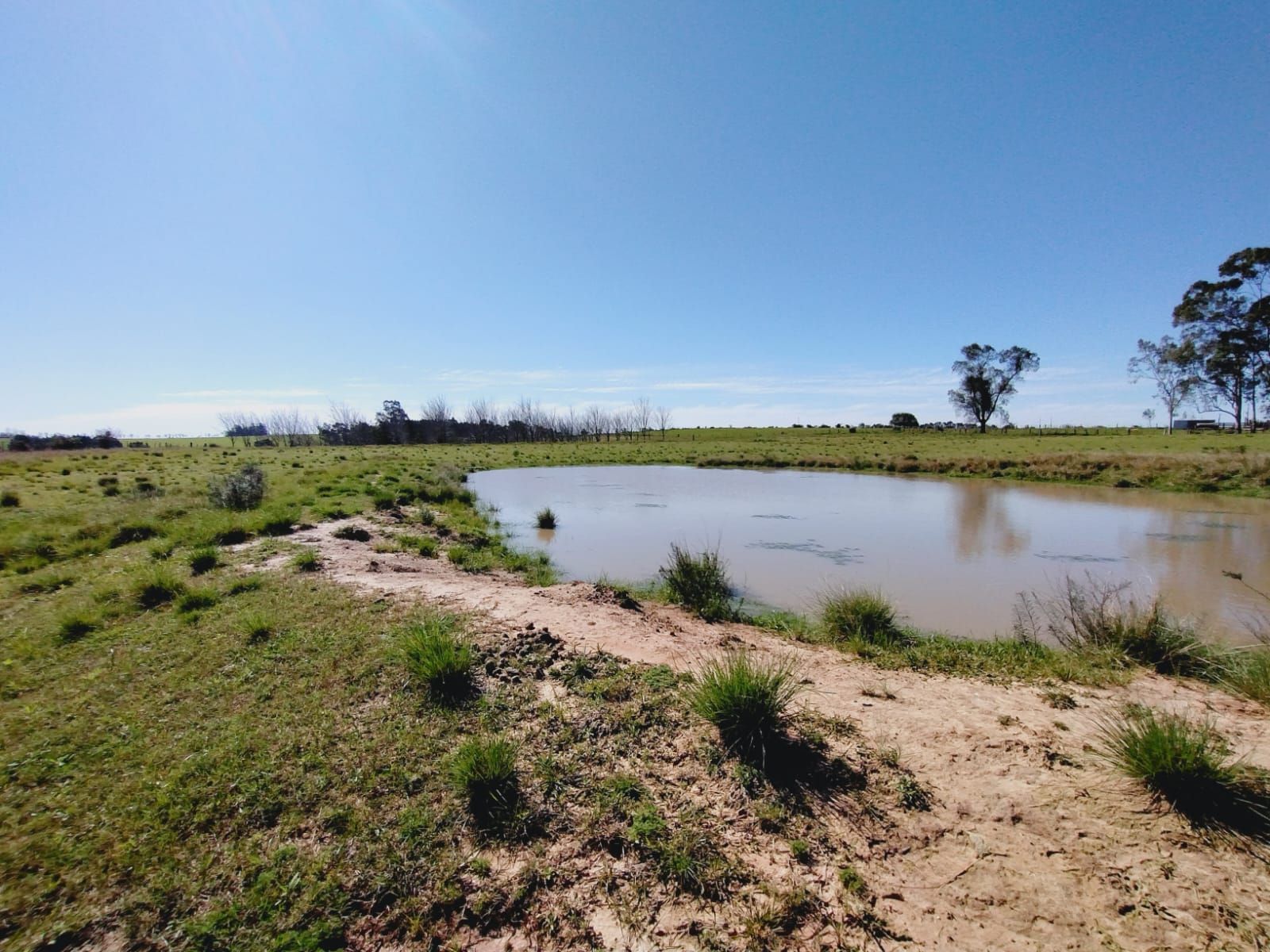 Sítio, 3 quartos, 2 hectares - Foto 11