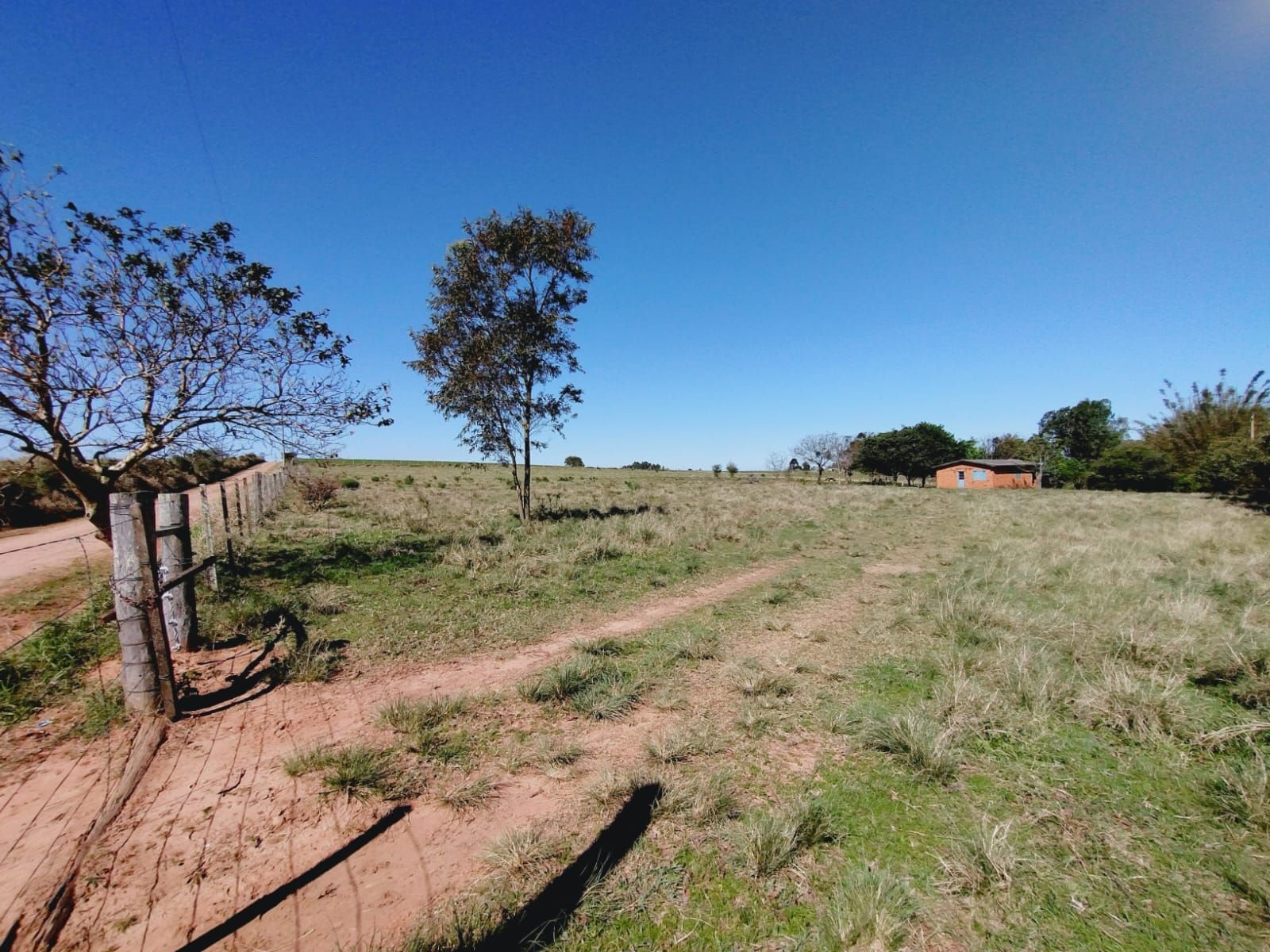 Sítio, 3 quartos, 2 hectares - Foto 1