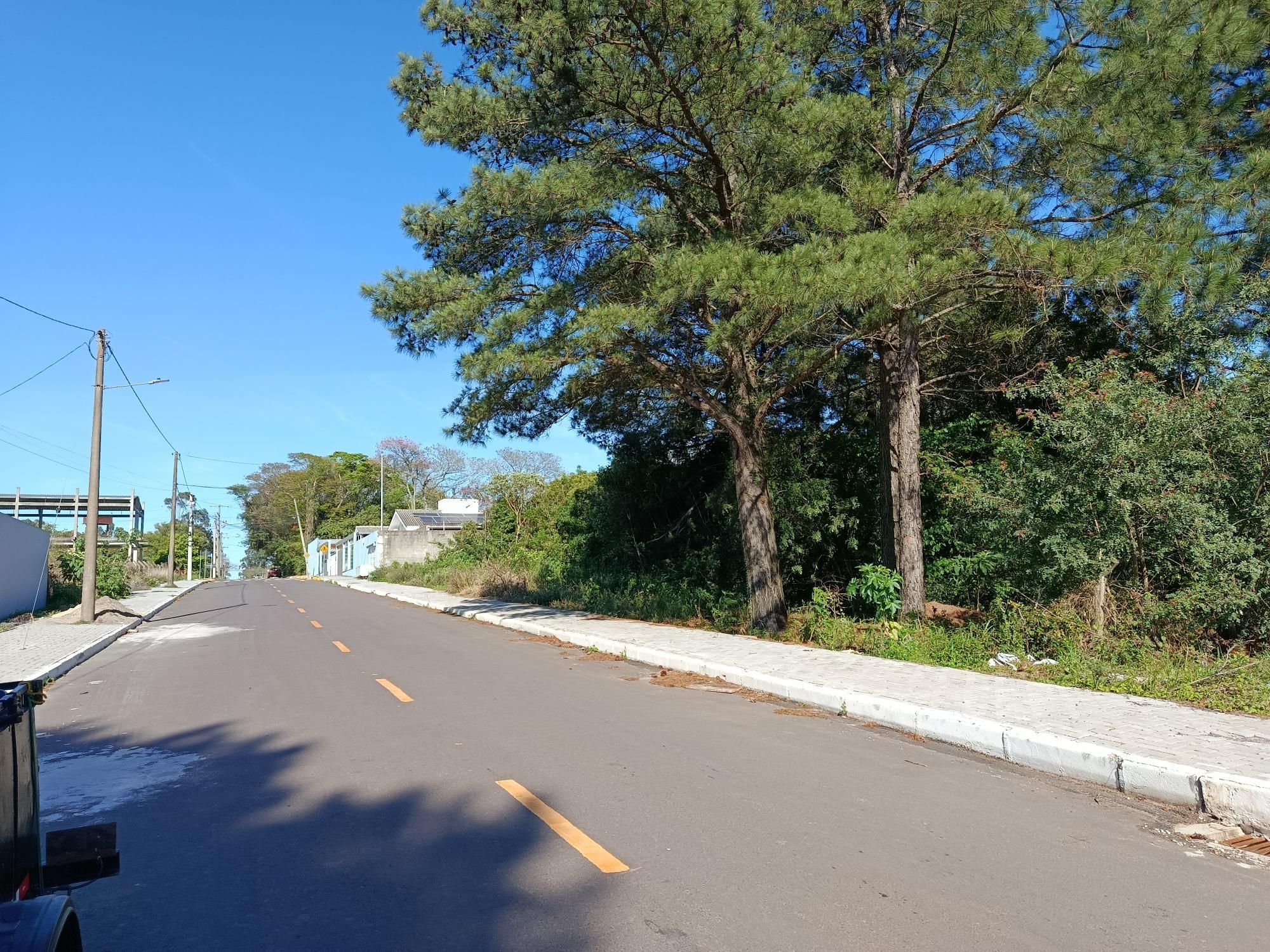 Terreno, 2275 m² - Foto 4