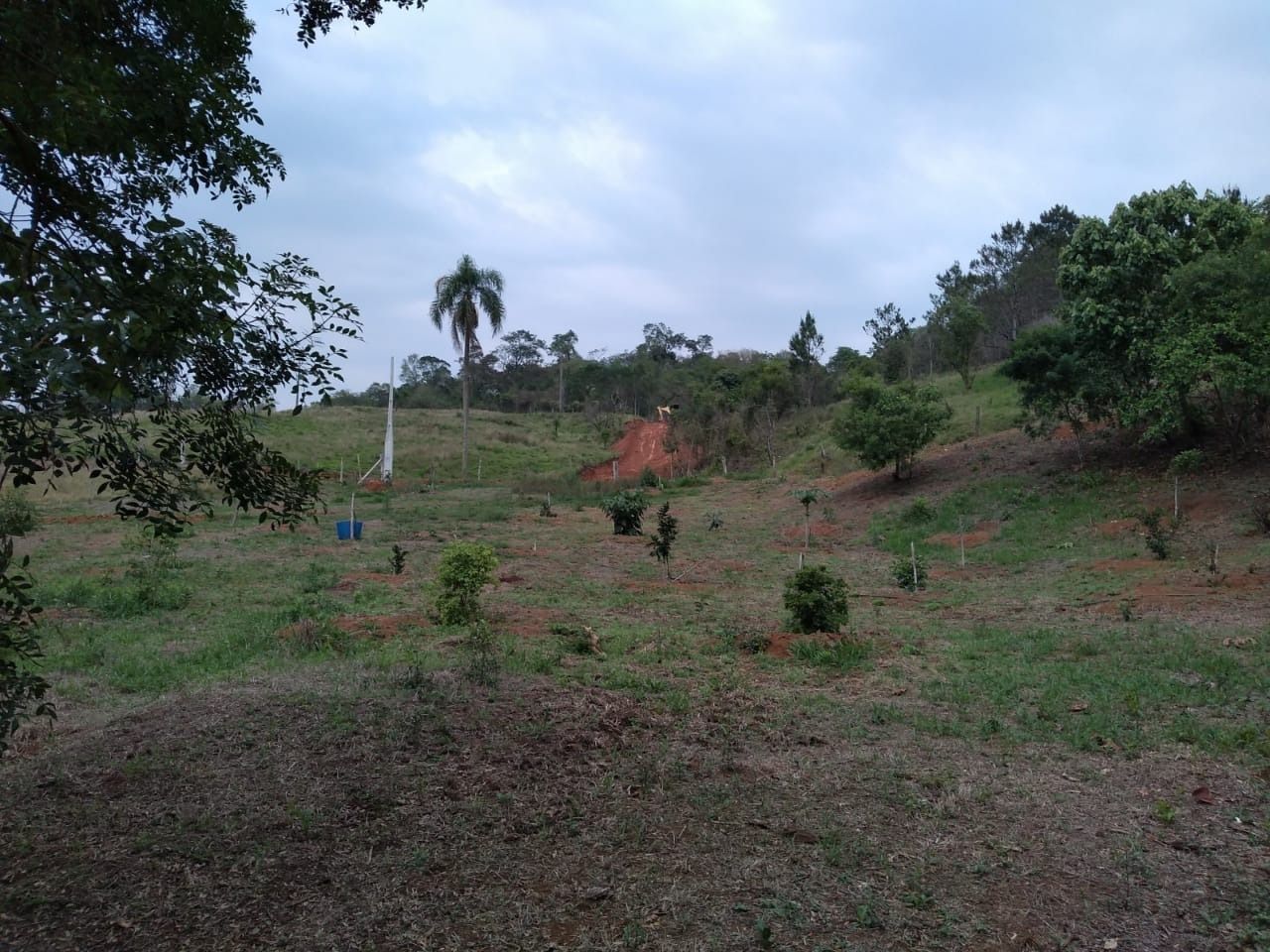 Terreno à venda, 20000m² - Foto 3