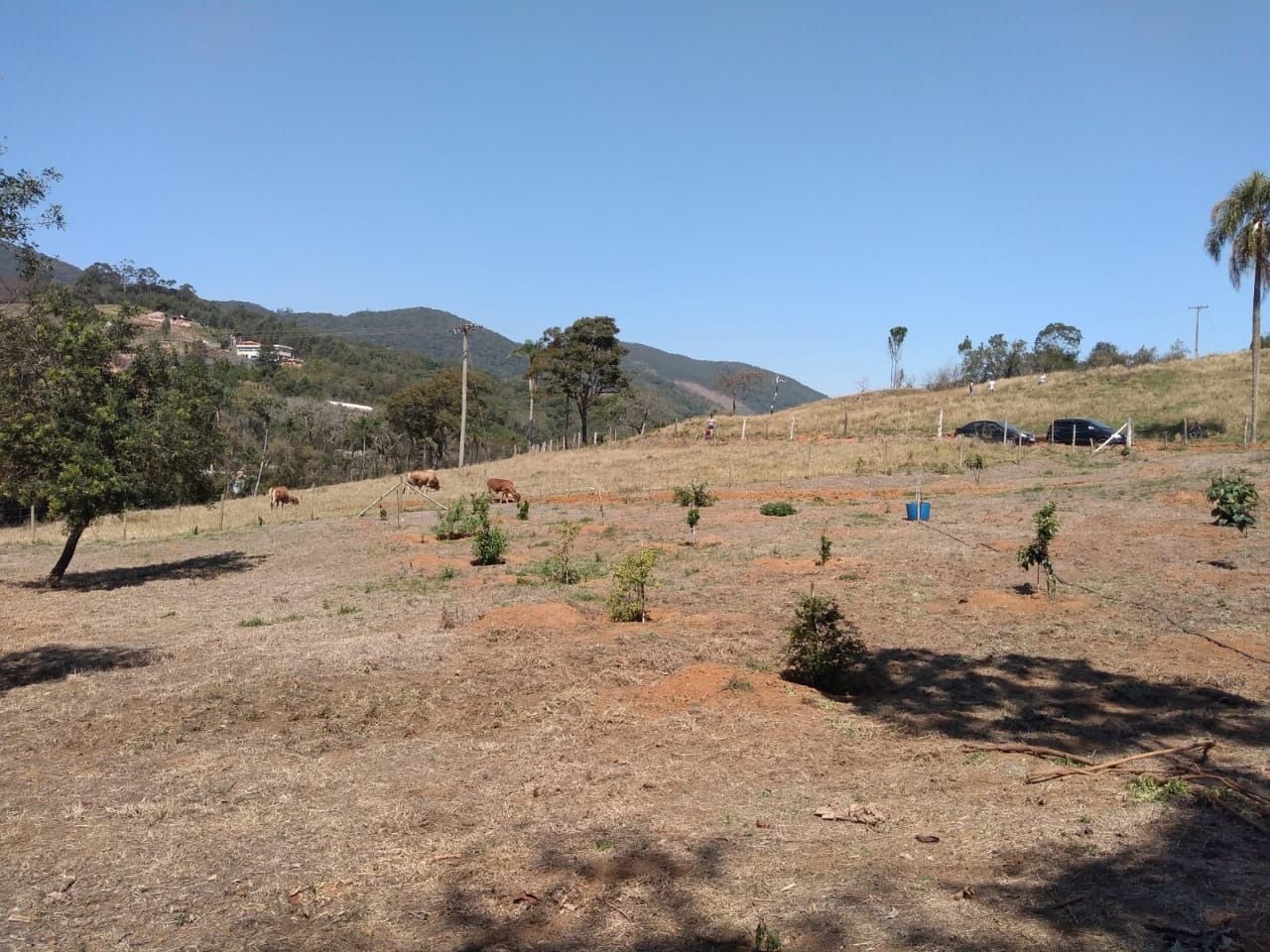 Terreno à venda, 20000m² - Foto 5