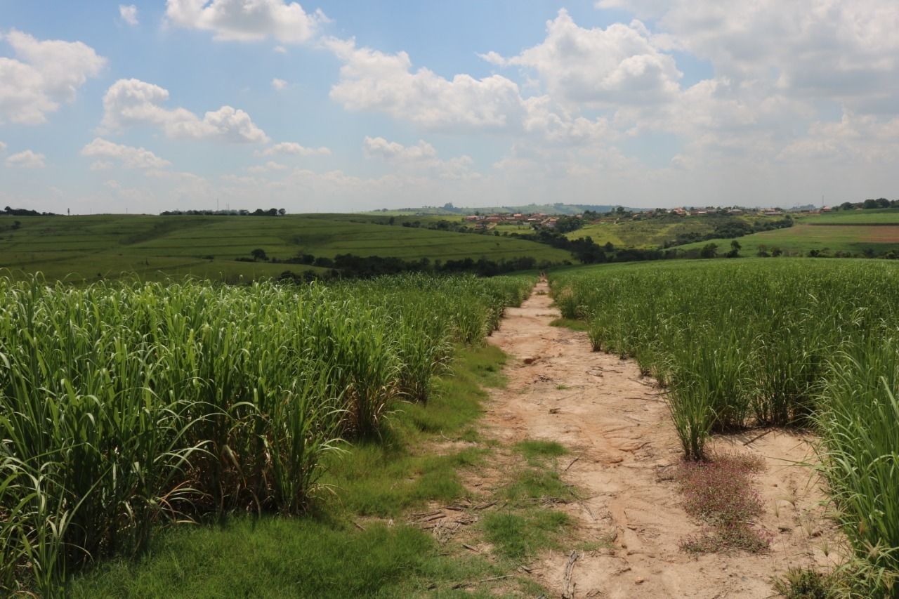 Terreno à venda, 124000m² - Foto 7