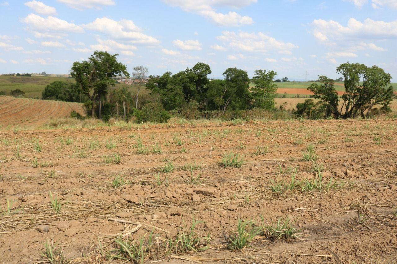 Terreno à venda, 124000m² - Foto 12