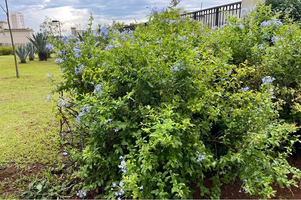 Apartamento, 2 quartos, 62 m² - Foto 6